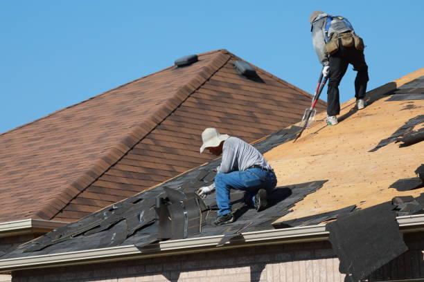 Best Skylight Installation and Repair  in Randolph, NE