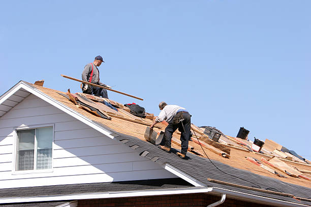 Best Commercial Roofing Services  in Randolph, NE